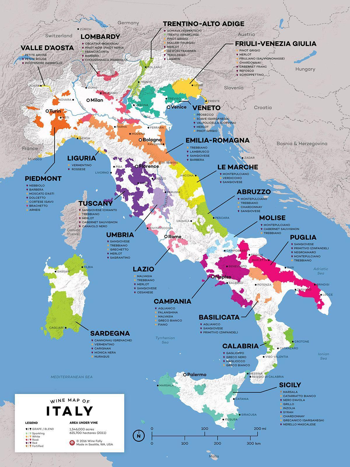 Italie carte de vin